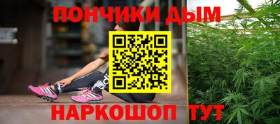 индика Малгобек