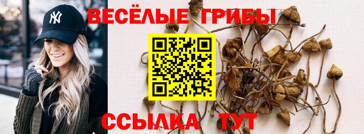 Дзержинск  Галлюциногенные грибы MAGIC MUSHROOMS  Вход с VPN 